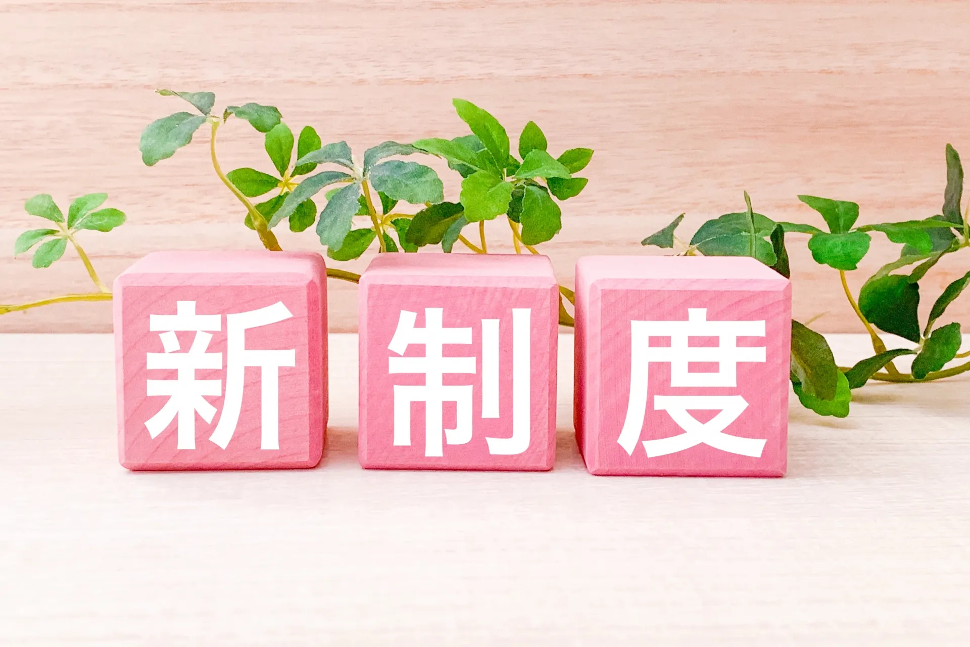 新制度